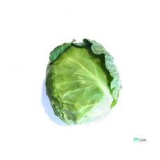 Beijing Cabbage | 北京包菜