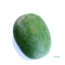 Wintermelon | 冬瓜