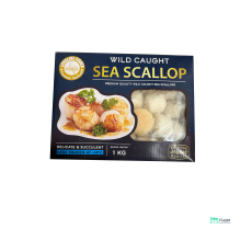 Longline Fisher Sea Scallop 20-30...